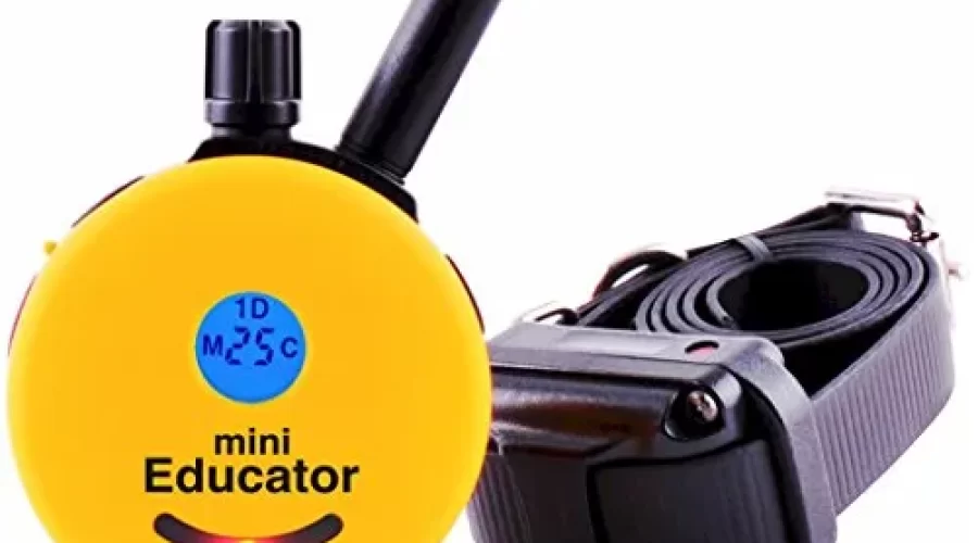 Exploring the Mini Educator: A Comprehensive Guide to E-Collar Technologies